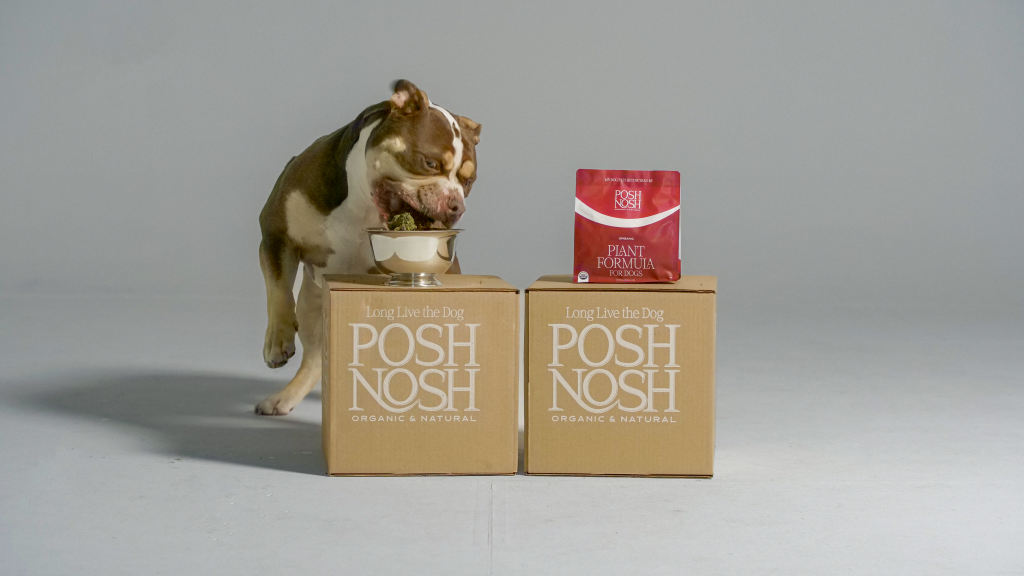 Dog eating Posh Nosh out of a bowl