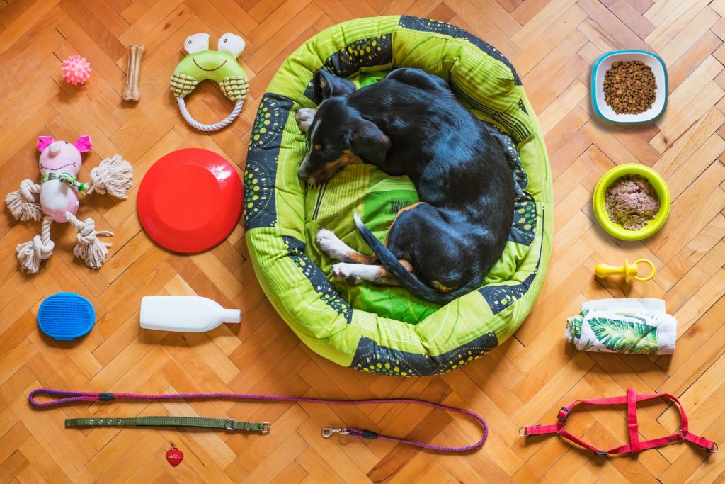 Dog in bed surrounded by toys